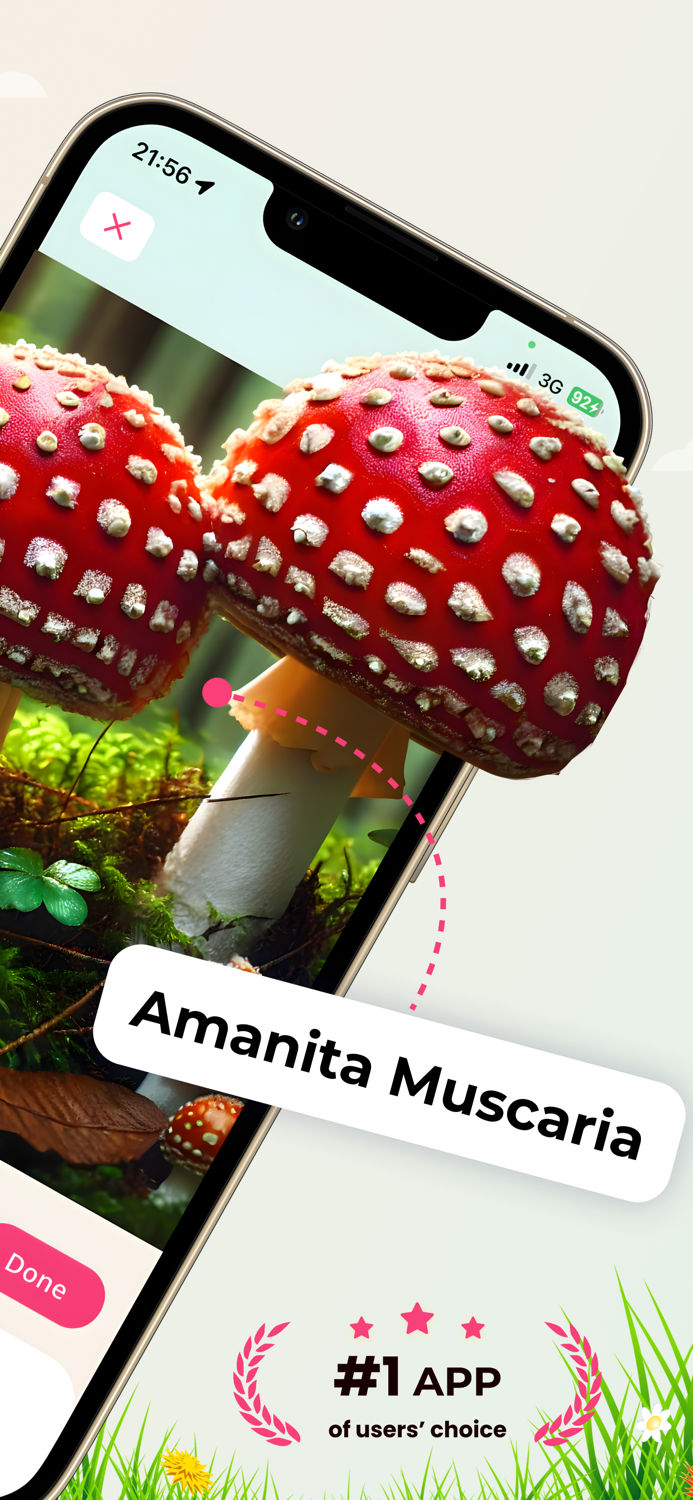 Mushroom Identifier ID AI