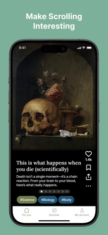 Reelly: Scroll & learn Screenshot 1 of 8