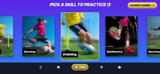 Pro Football Academy screenshot
