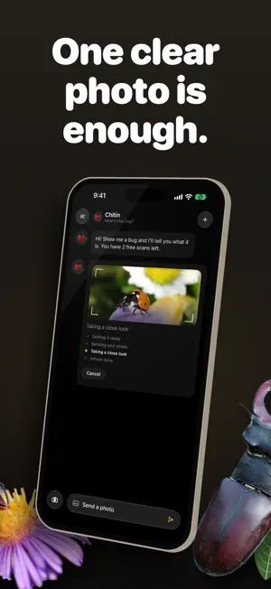 Chitin: Bug Identifier screenshot 2