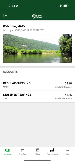 BOR MB screenshot 2