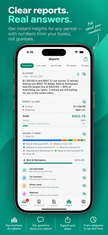 Offline AI Accountant Screenshot 4 of 7