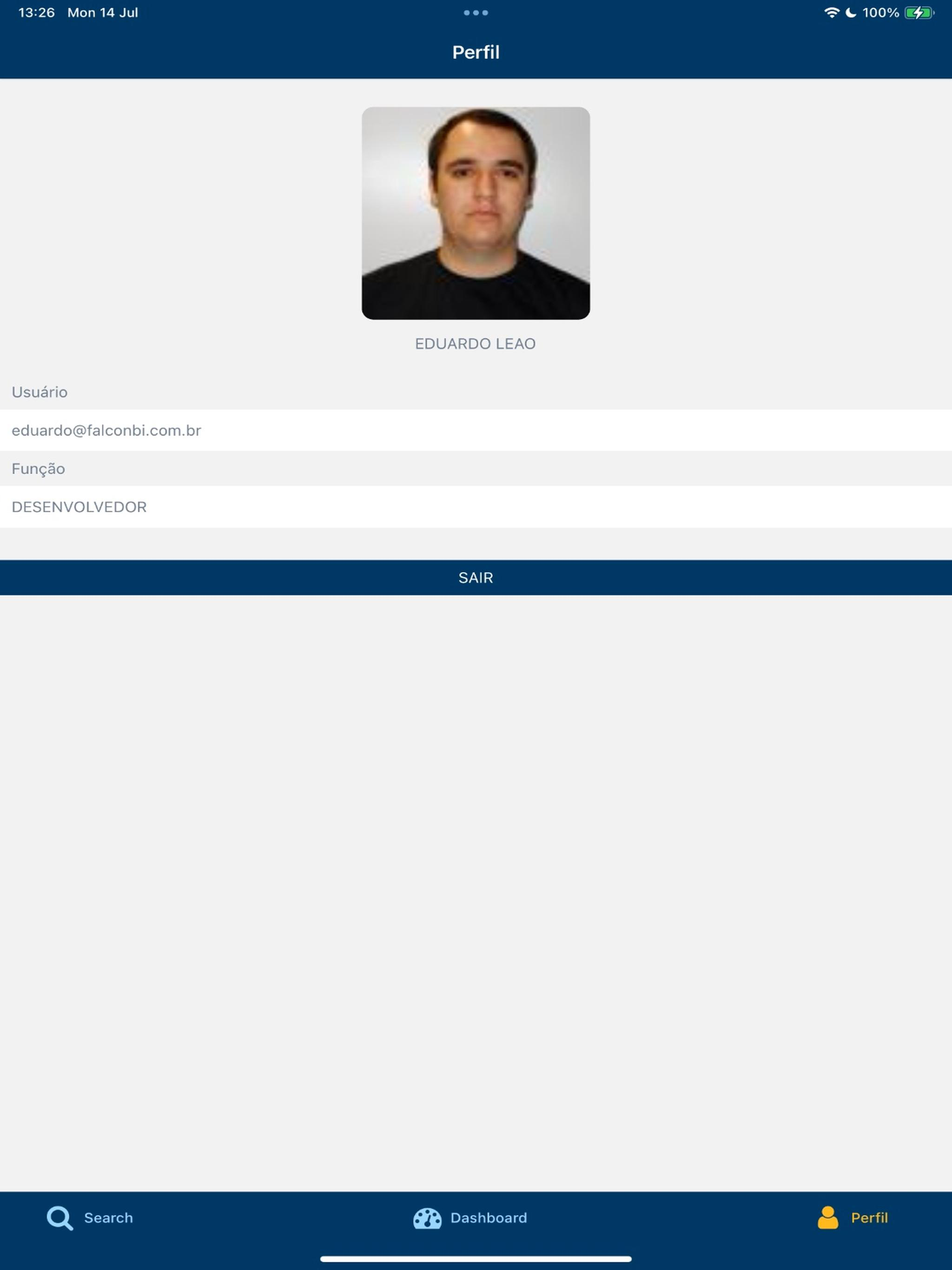 Falcon BI screenshot 6