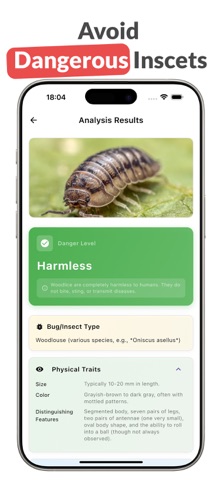 Insects ID: Bug Identifier screenshot