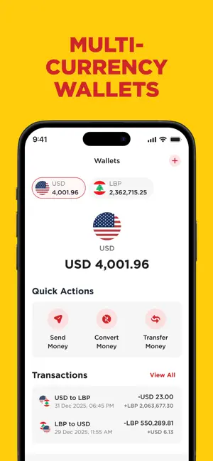PayPlus LB screenshot 4