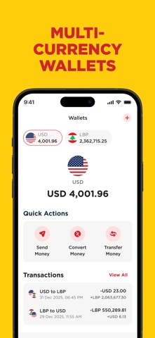 PayPlus LB screenshot 4