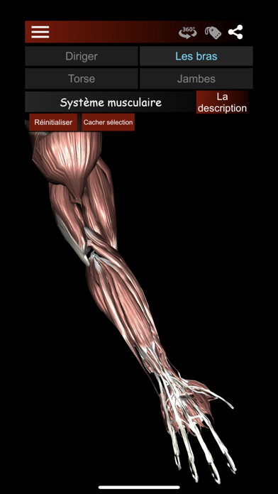 Screenshot #2 pour Système Musculaire 3D Anatomie