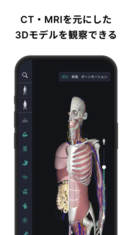チームラボボディ 人体の解剖学 筋肉 解剖 骨格 3d模型 screenshot 4 of 7