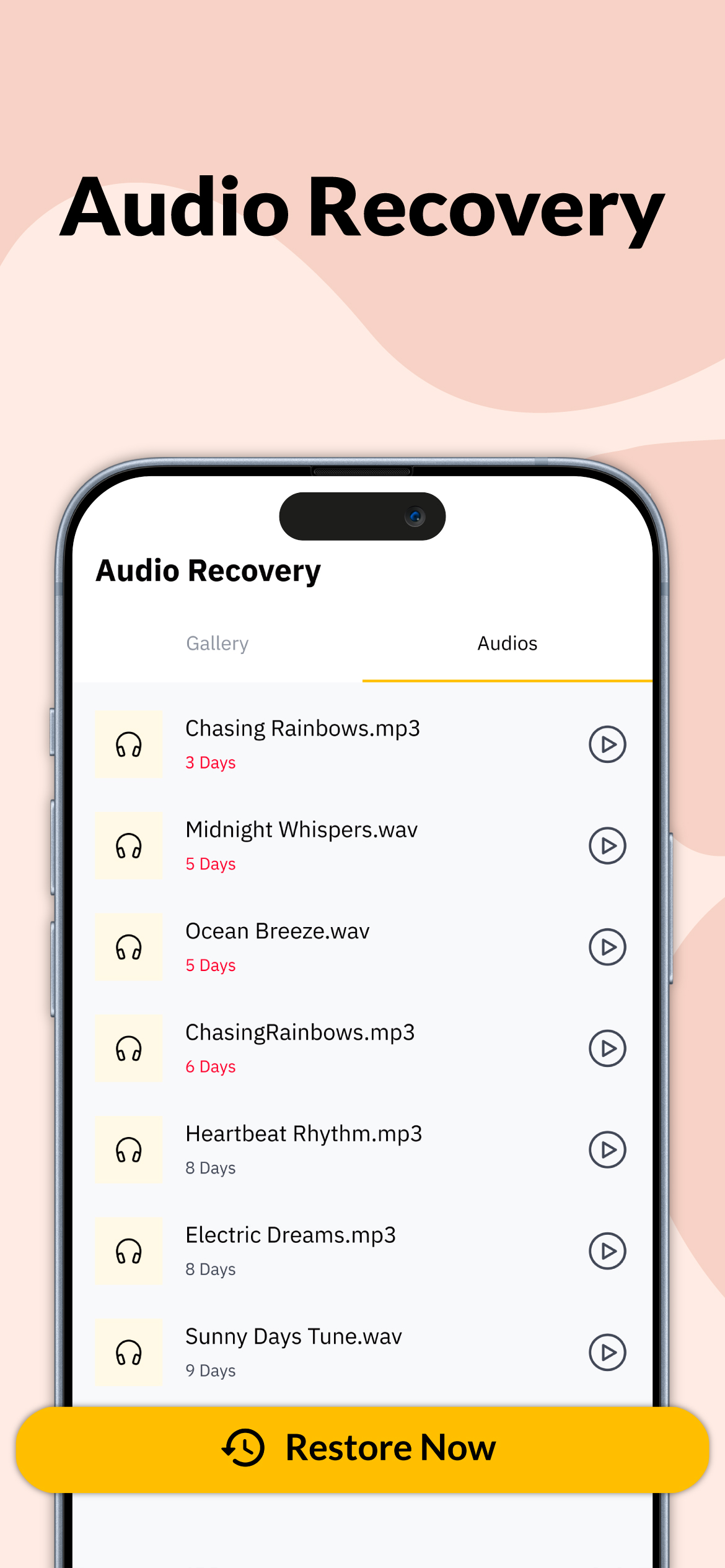 Voice Gallery Manager with Ai