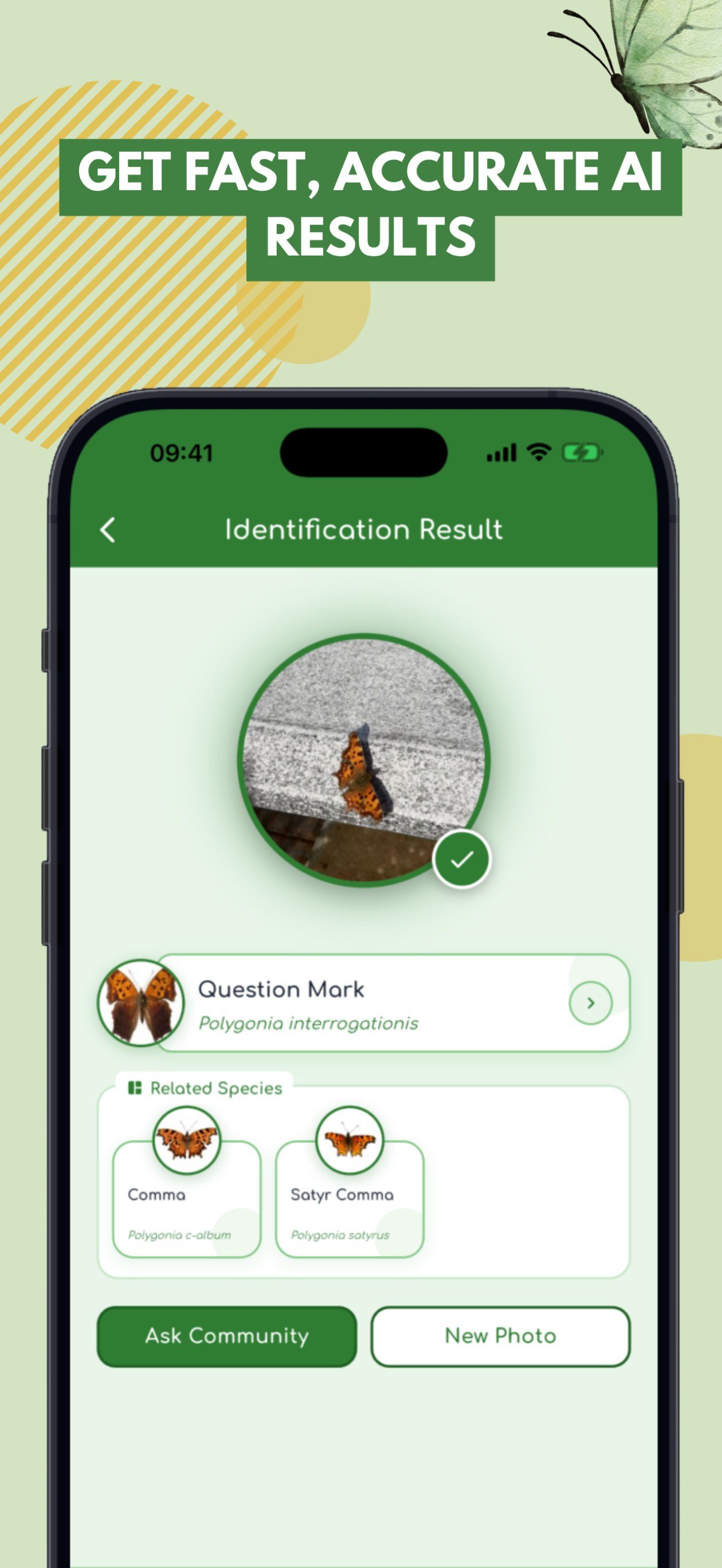 Butterfly: Identify, Search screenshot 2