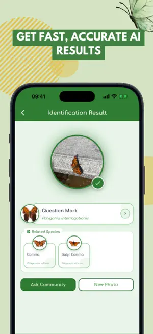 Butterfly: Identify, Search screenshot 2