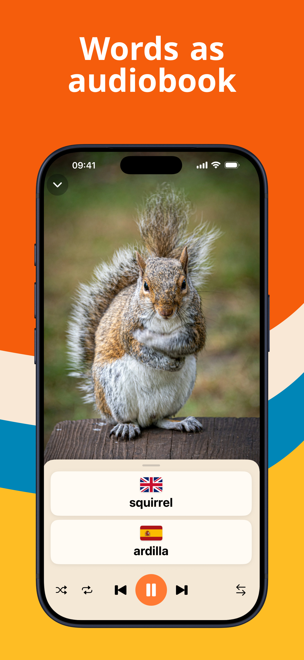 VocaBox - Vocab Trainer screenshot 8