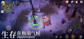 冰原守卫者 screenshot