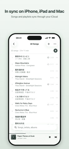 CroMusic: Offline Music Player iPhone screenshot