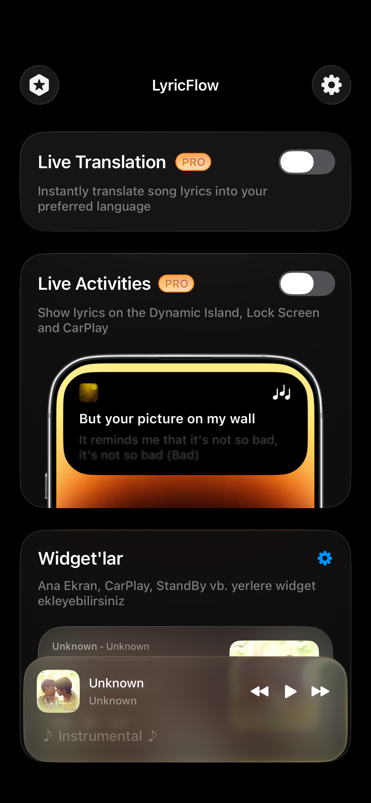 Lyricflow - Translate music screenshot 5