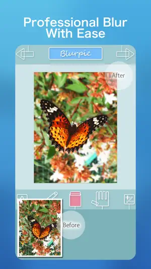 Blurpic - for your memory - screenshot 4