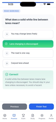 DriveReady AI screenshot