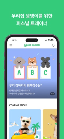 굿잡버디 - 비대면 반려견 교육 screenshot