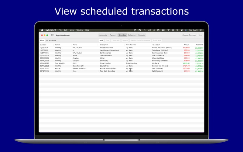 MyNetWorth Screenshot