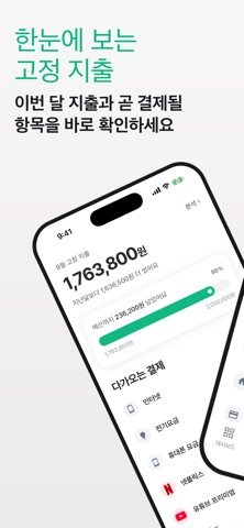 고정지출관리 Budget iPhone screenshot