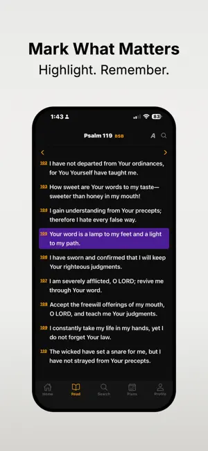 Lantern Bible: Read & Study screenshot 4