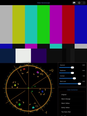 Video VectorScope iPad screenshot