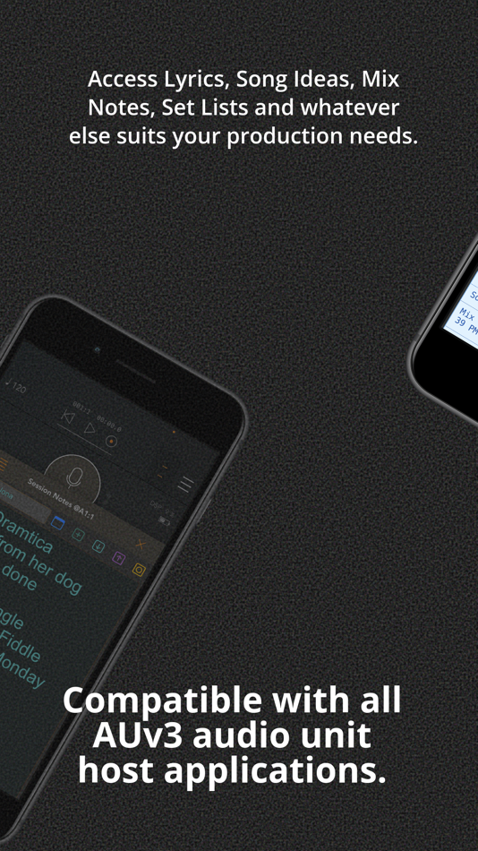 #3. Session Notes AU (iOS) 由: Christian Thompson