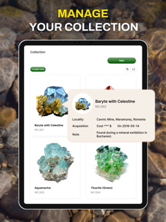AI Rock - Stone Check screenshot 12