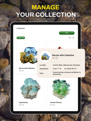AI Rock - Stone Check iPad screenshot