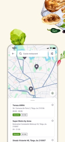 ANNA Delivery screenshot