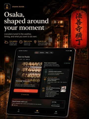 Osaka Travel Guide Offline iPad screenshot