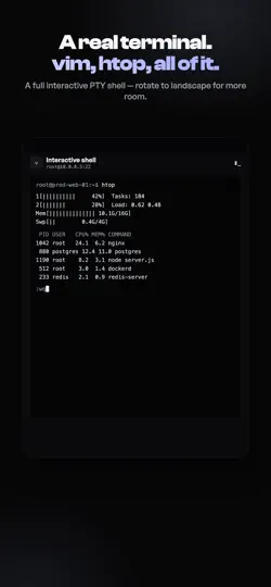 Screenshot von DeckGUI SSH auf dem iPhone 6