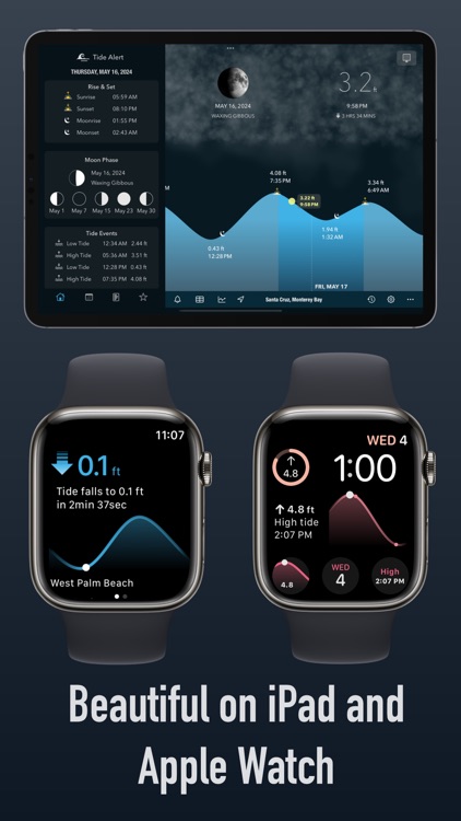 Tide Alert (NOAA) - Tide Chart