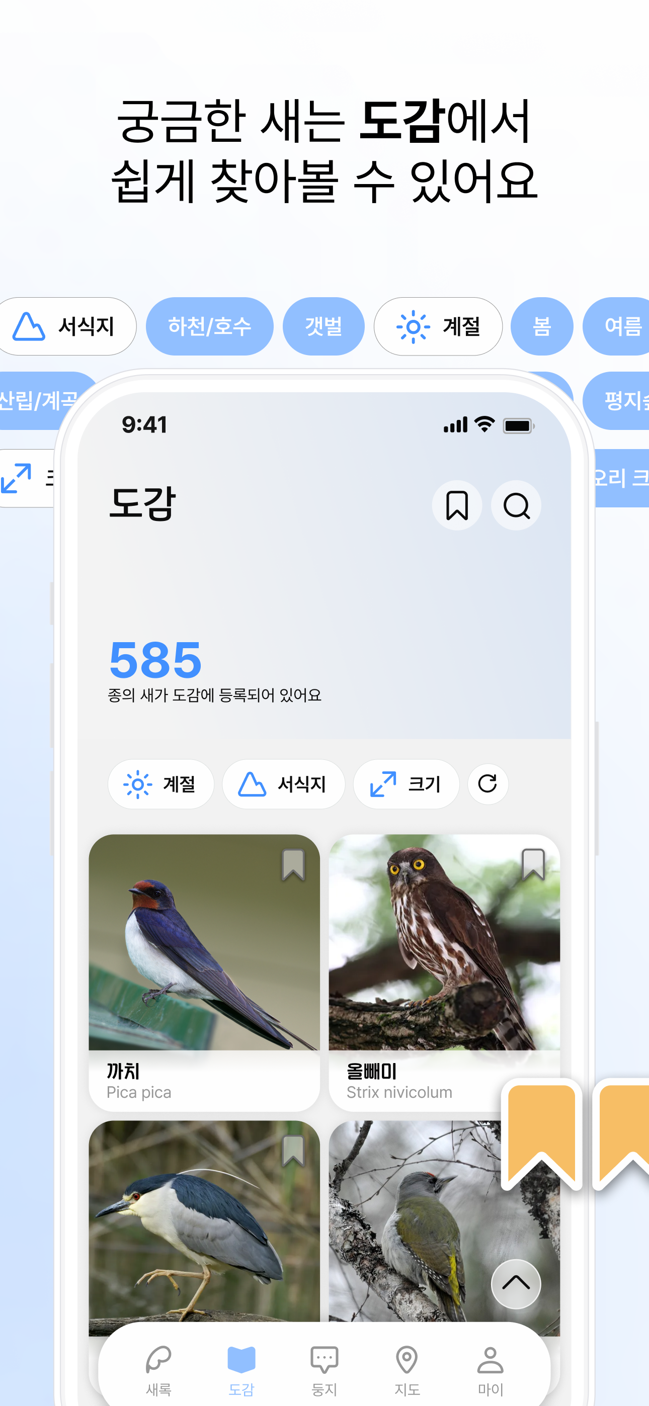 새록 - 일상 속의 탐조 일지