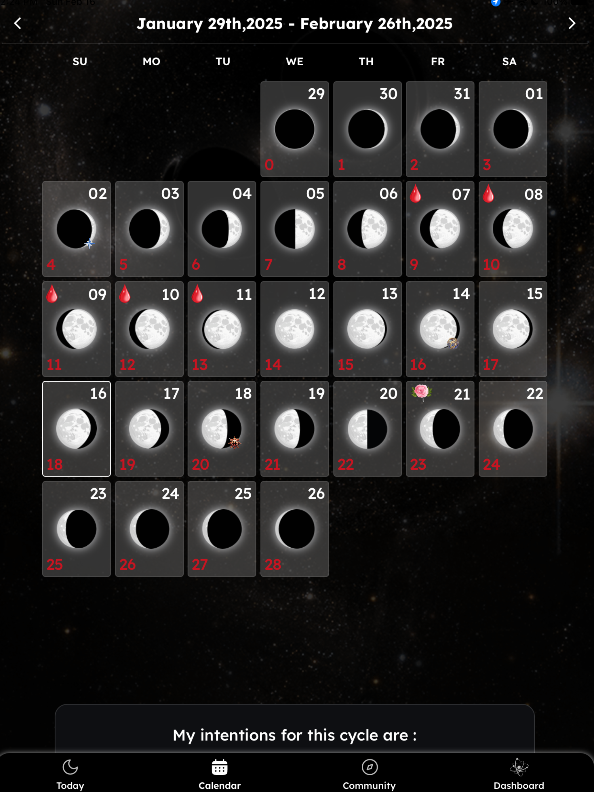 Lightbody: 13 Moon Calendar
