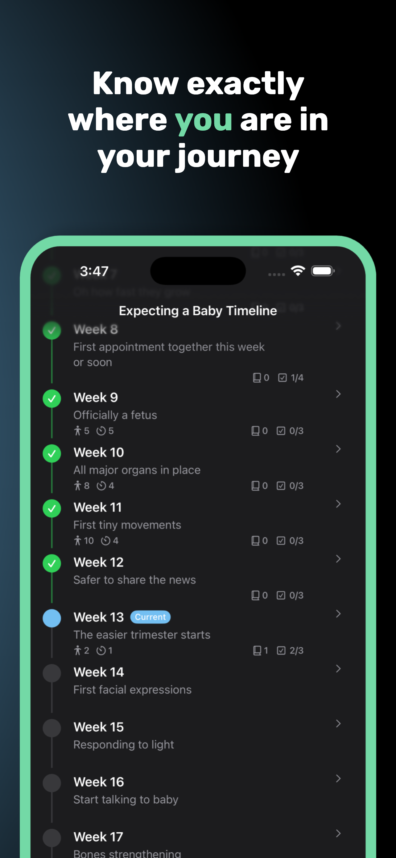 Dad Suite - Pregnancy + Baby