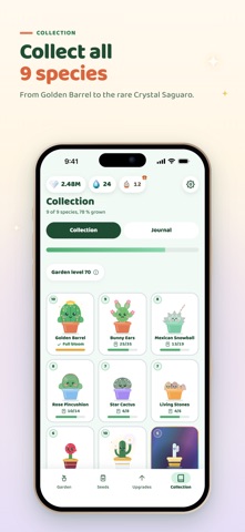 Cactoo screenshot 5