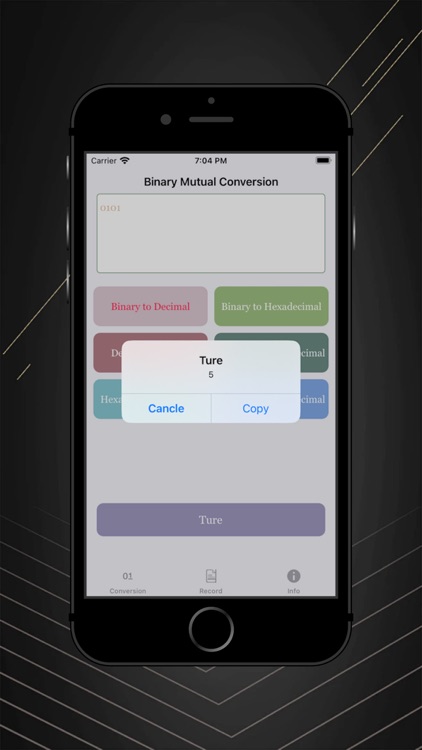 Base conversion assistant