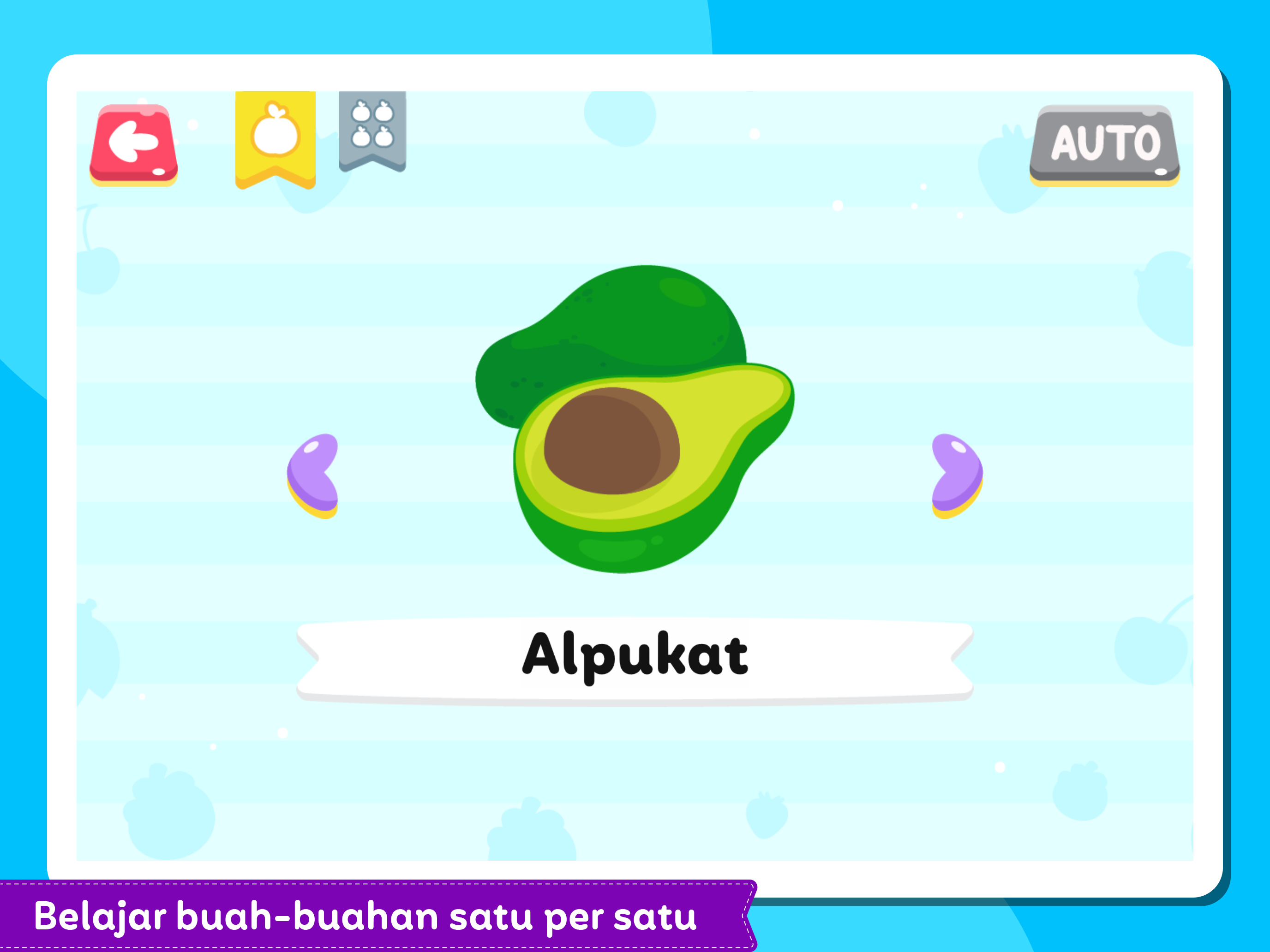 Secil Belajar Buah