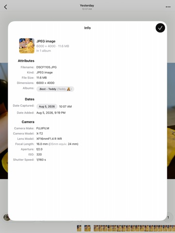 Opla - Photo organizer iPad screenshot