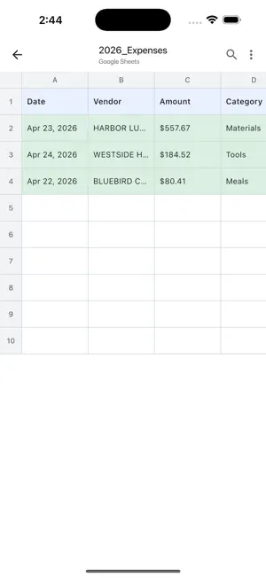 SheetFlow: Receipts to Sheets screenshot 4