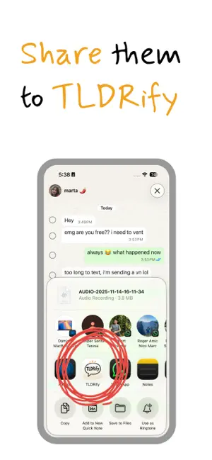 TLDRify: voice notes summaries screenshot 2