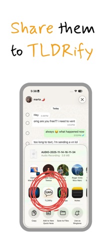 TLDRify: voice notes summaries iPhone screenshot