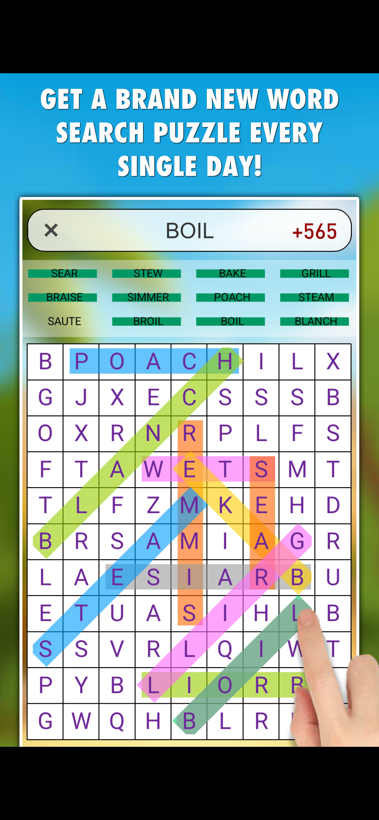 Word Search Daily PRO