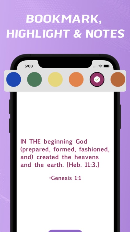 Amplified Bible - offline