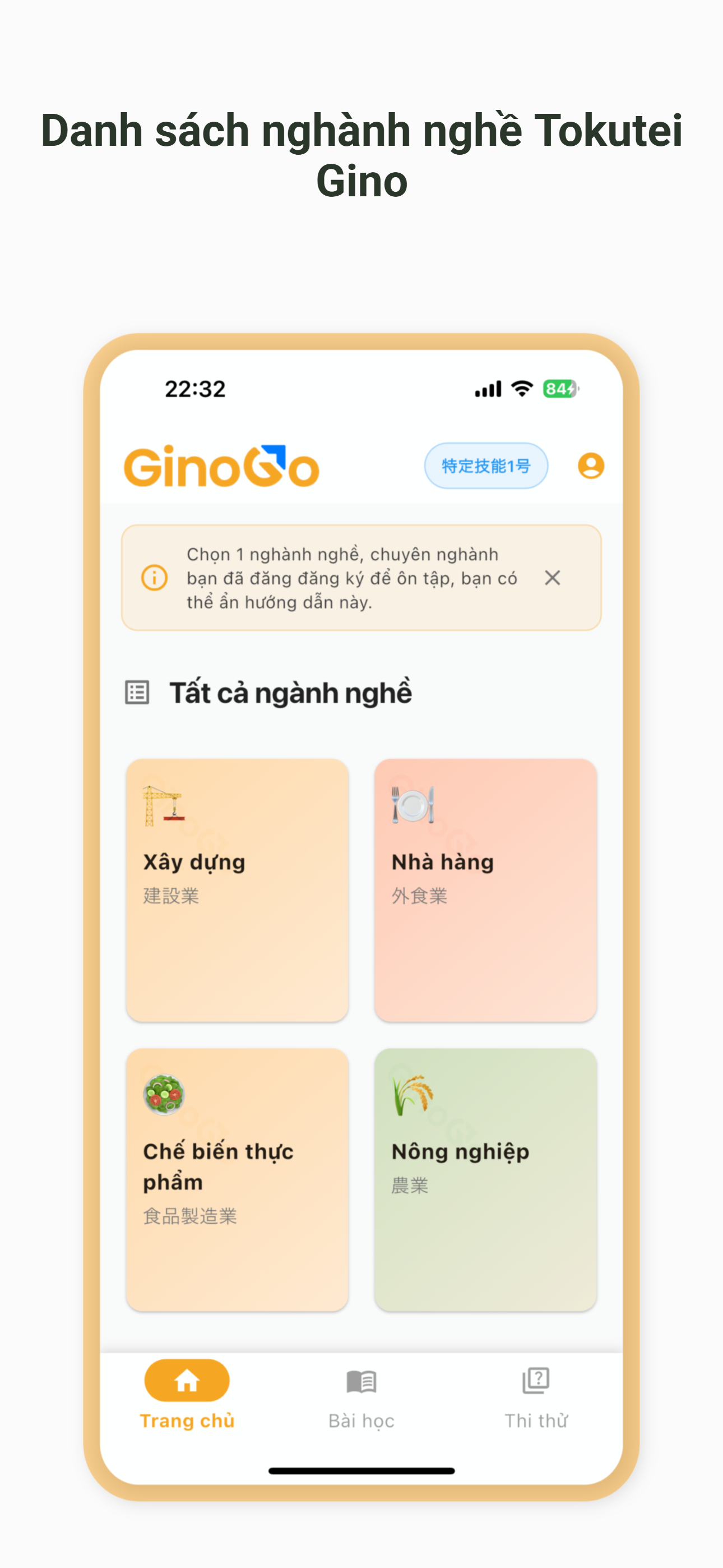 GinoGo