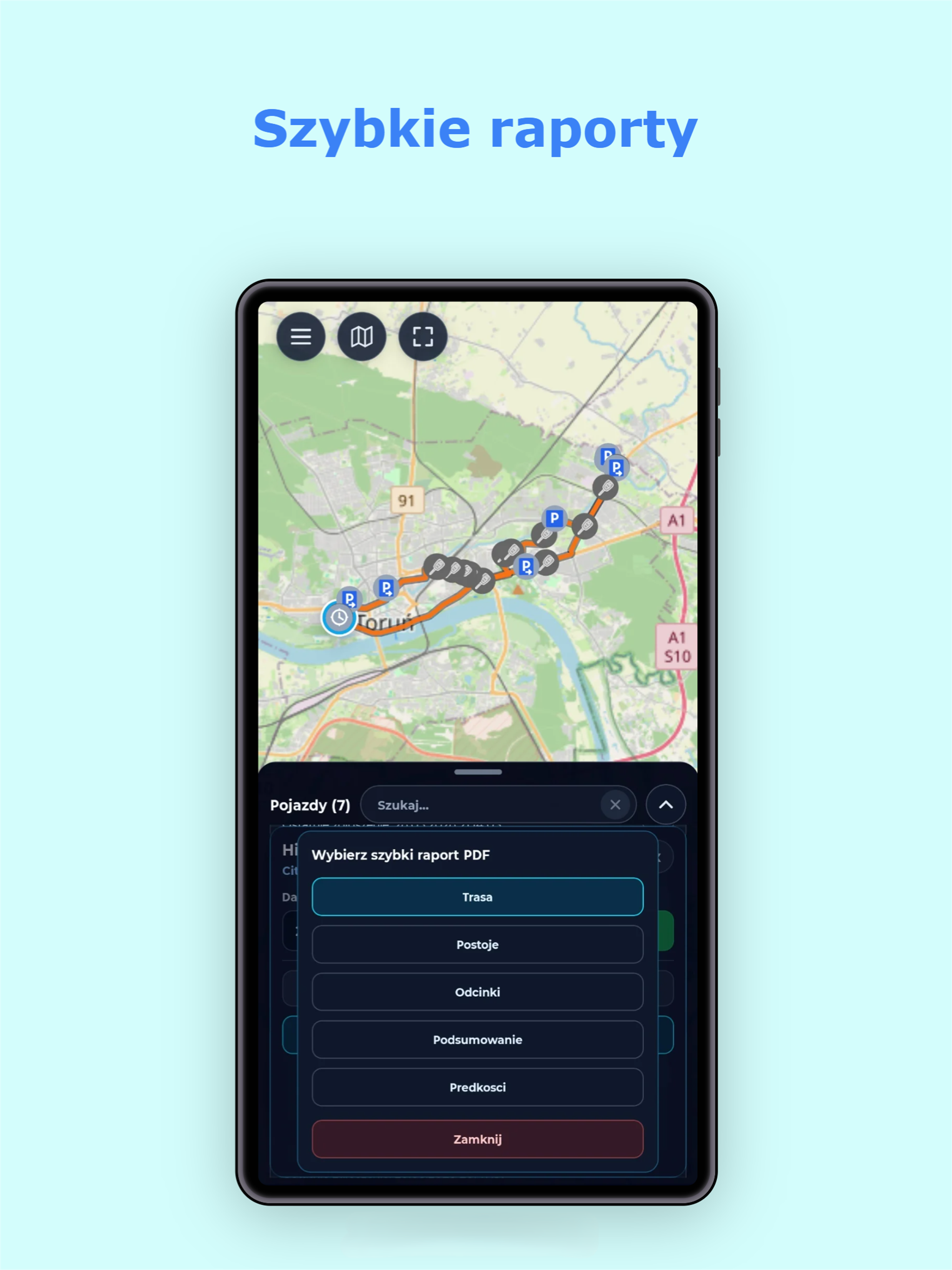 Navicar Online
