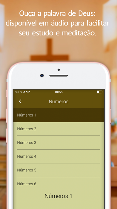 Bíblia Nova Almeida Atualizada Screenshot