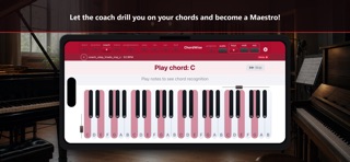 ChordWise: Piano Chords screenshot