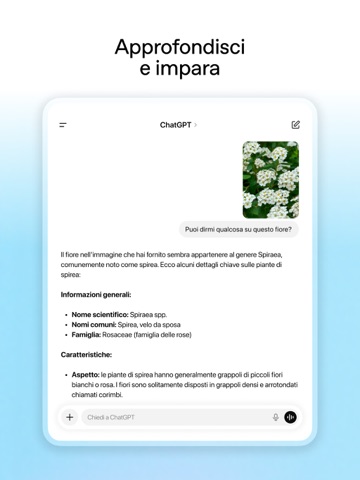ChatGPT App Store preview screenshot 14